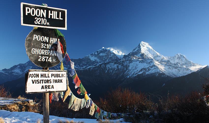 Day Hike to Poon Hill 3210, then trek to Tadapani, 2675 Meter, 6-7 Hours,18KM-22KM Image